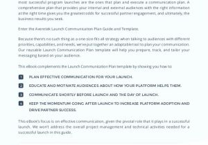 Channel Partner Business Plan Template Launch Communication Plan