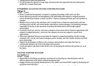 Channel Sales Manager Resume Sample Channel Partner Manager Resume Samples Velvet Jobs