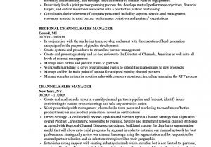 Channel Sales Manager Resume Sample Channel Sales Manager Resume Samples Velvet Jobs