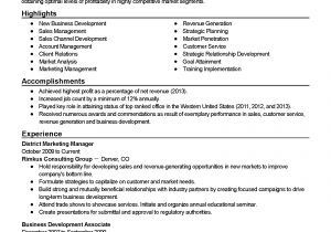 Channel Sales Manager Resume Sample Sales Manager Resume Sample 2013 Sidemcicek Com