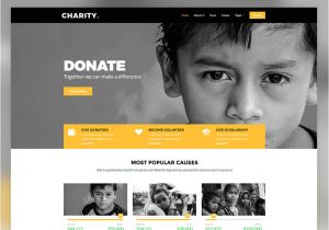 Charity Site Templates Charity Free Non Profit Responsive Bootstrap Website