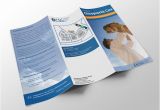 Chiropractic Brochures Template 13 Best Chiropractic Brochure Templates Psd Designs
