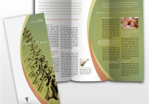 Chiropractic Brochures Template Chiropractic Clinic Design Pictures Joy Studio Design