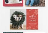 Christmas Card Ideas with Dog Pet Christmas Cards Pet Holiday Cards Animal Christmas