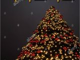 Christmas In New Home Card A Christmas Tree with Golden and Red Decoration the Korean