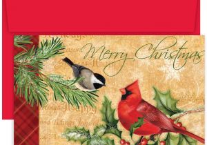 Christmas Ke Liye Greeting Card Masterpiece Studios Hollyville Greetings Boxed Cards Holiday Birds 18 Cards 18 Envelopes