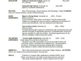 Chronological Resume format Word Chronological Resume Template 28 Free Word Pdf
