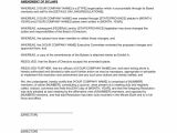 Church Constitution Template Constitution and bylaws Template Templates Resume
