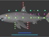 Cinema 4d Animation Templates Fish Custom Character Template for Cinema 4d 3d Model