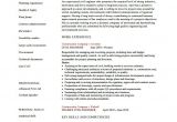 Civil Engineer Resume Key Skills 19 Civil Engineer Resume Templates Pdf Doc Free