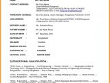 Civil Engineer Resume Objective Statements 5 Cv Objective Engineer theorynpractice