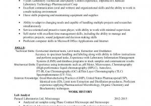 Civil Lab Technician Resume Sample Lab Technician Resume Sample Med Tech Medical Technologist