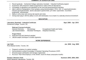Civil Lab Technician Resume Sample Nice Quality Technician Resume Pattern Resume Examples