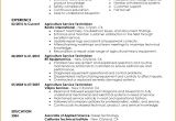 Civil Service Resume Sample 5 Resume Sample for Civil Engineer Technician Free