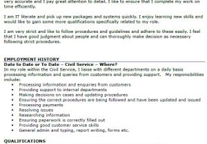 Civil Service Resume Sample Civil Service Cv Example Icover org Uk