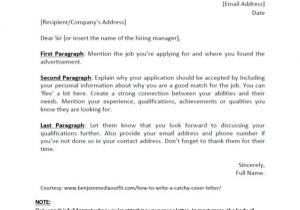 Clever Cover Letter Examples How to Write A Catchy Cover Letter Template Included