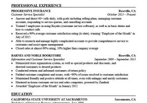 Client Servicing Resume Sample Combination Resume Samples Resume Companion