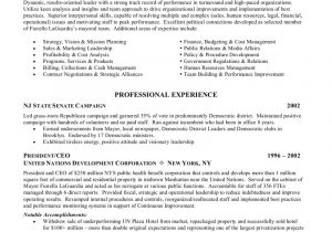 Co Founder Resume Sample Ceo Chief Executive Officer Resume 03oqofgo Sample