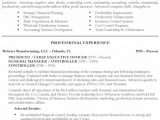 Co Founder Resume Sample Chief Executive Officer Resume Example