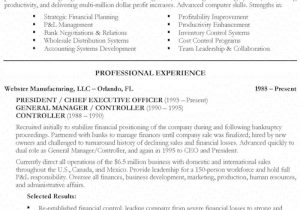 Co Founder Resume Sample Chief Executive Officer Resume Example