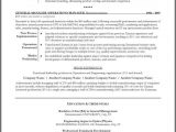 Co Founder Resume Sample Resume Sample for A Ceo