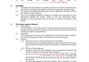 Cohabitation Contract Template Cohabitation Agreement Template 8 Free Word Pdf format