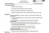 Combination Resume format Word Combination Resume Template 9 Free Word Excel Pdf