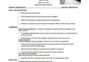 Combination Resume format Word Combination Resume Template 9 Free Word Excel Pdf