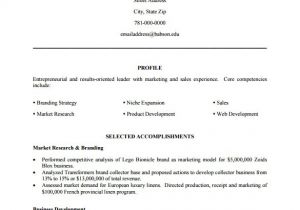 Combination Resume Sample Pdf Combination Resume Template 6 Free Samples Examples