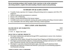 Combination Resume Sample Pdf Combination Resume Template 9 Free Word Excel Pdf