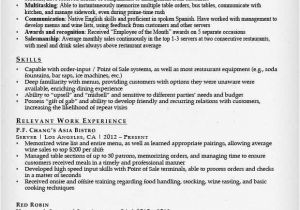 Combination Resume Sample Pdf Examples Of A Combination Resume Resume and Cover Letter