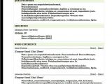 Combination Resume Template 2018 Resume format 2018 20 Free to Download Word Templates