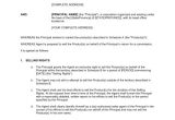 Commission Contract Template Commission Sales Agreement Template Word Pdf by
