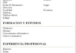 Como Hacer Un Resume Profesional Para Trabajo Curriculum Vitae Schnazzy Name for Resume Looking to