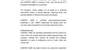 Company Business Plan Template Construction Business Plan Template 12 Free Word Excel