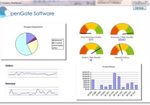 Company Dashboard Template 43 Operations Dashboard Template Best 25 Kpi Dashboard