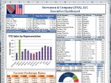 Company Dashboard Template Dashboards for Business Business Dashboards for Sales