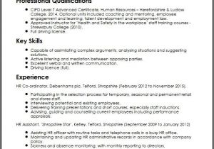 Company Driving Policy Template Company Driving Policy Template Image Collections