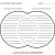 Compare and Contrast Graphic organizer Template Tim Van De Vall Comics Printables for Kids