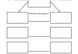 Comparison Graphic organizer Template 11 Best Images Of Graphic organizer Template First Next