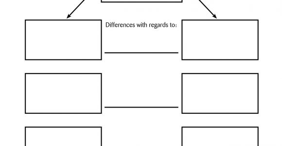 Comparison Graphic organizer Template 11 Best Images Of Graphic organizer Template First Next