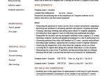 Computer Operator Resume format Word Computer Operator Resume It Job Description Example