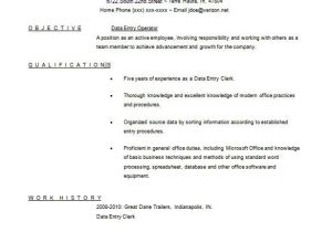 Computer Operator Resume format Word Image Result for Experience Letter for Data Entry Operator