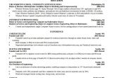 Computer Science Student Resume 12 Computer Science Resume Templates Pdf Doc Free