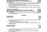 Computer Science Student Resume Computer Science Resume Example 9 Free Word Pdf