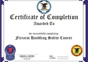 Concealed Carry Certificate Template Concealed Carry