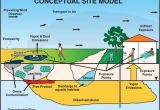 Conceptual Site Model Template Conceptual Site Model Pictures to Pin On Pinterest Pinsdaddy