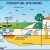 Conceptual Site Model Template Conceptual Site Model Pictures to Pin On Pinterest Pinsdaddy