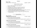 Concise Resume Template Example Of Concise Resume format Profesional Resume Template