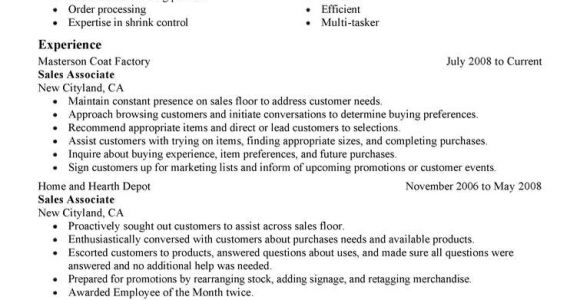 Condensed Resume Template Condensed Resume Template Templates